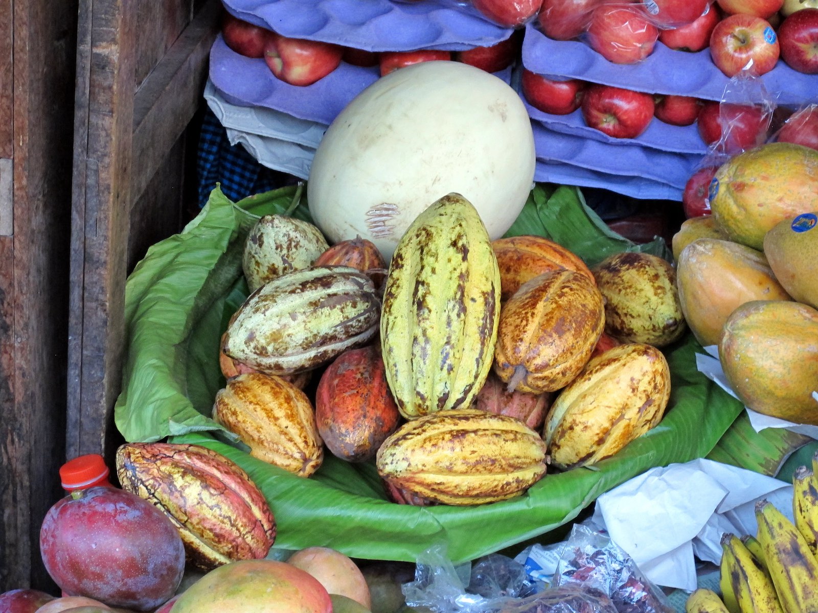  Cacao, public market, Antigua 